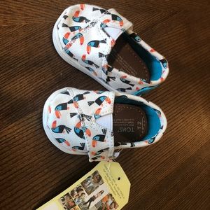 Toms infant Toucan shoes